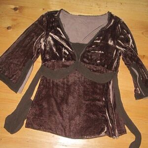 true vintage Whimsygoth velvet dark Fairycore Brown velvet corset style